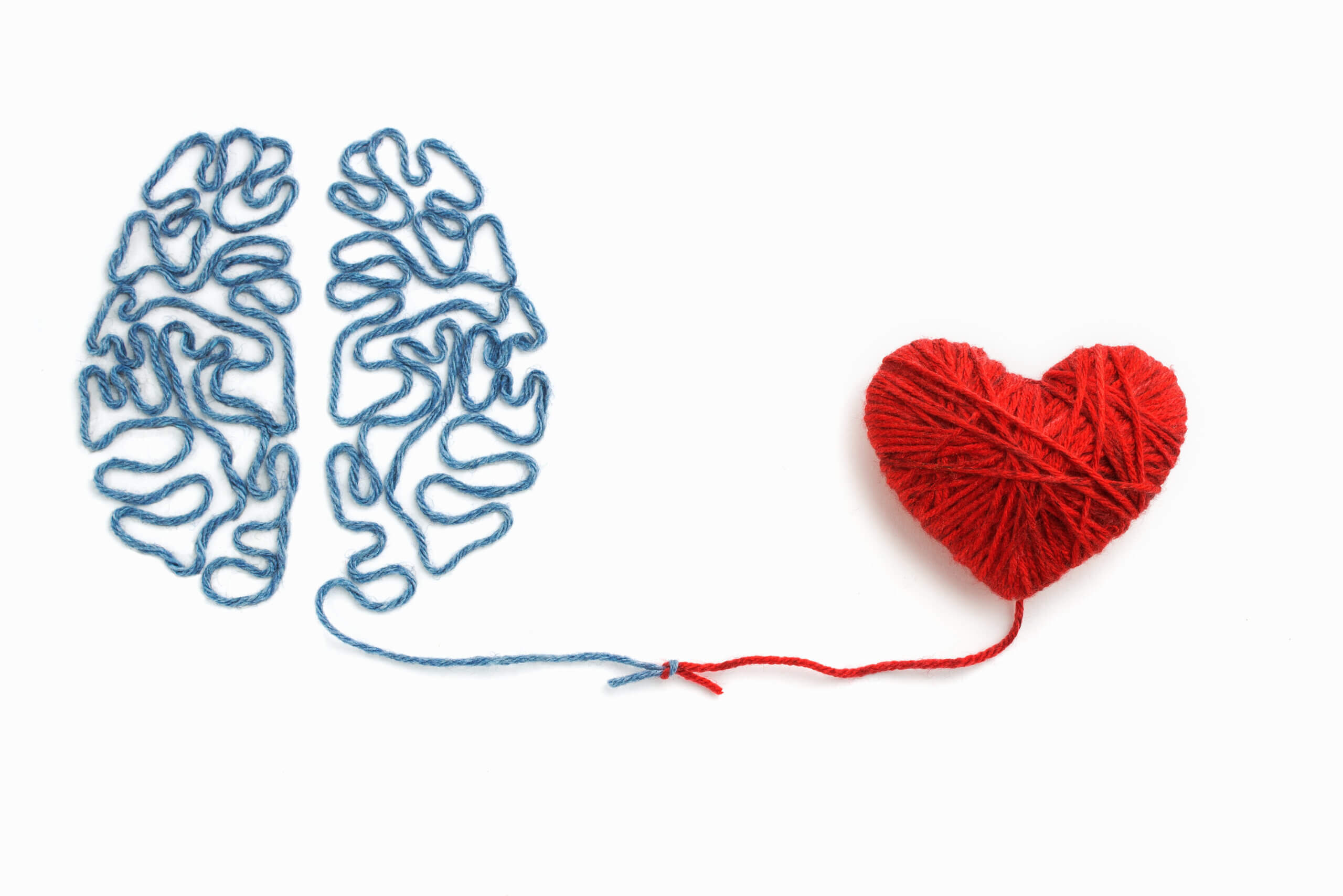 heart,and,brain,connected,by,a,knot,on,a,white